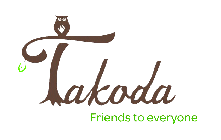 Logo Takoda partenaire du festival Reborn Fest 2025 à Lyon